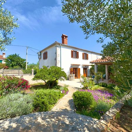 Holiday Home Lavanda Kornić Exterior foto
